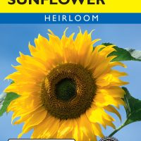 Sunflower Mammoth Greystripe