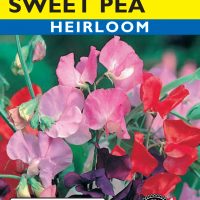 Sweet Pea Knee-High