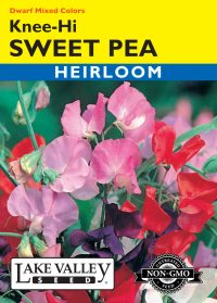 Sweet Pea Knee-High