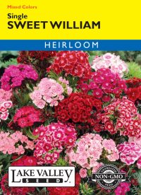 Sweet William Single