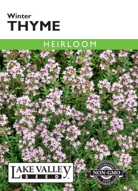 Thyme Winter - Item #299