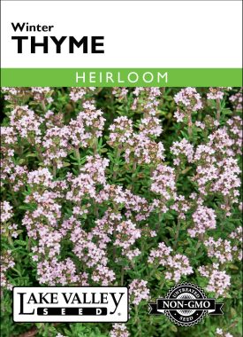 Thyme Winter - Item #299