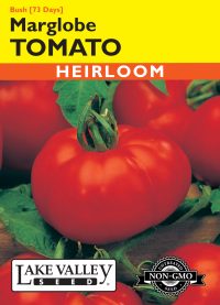 Tomato (Bush) Marglobe