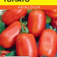 Tomato (Bush) Roma