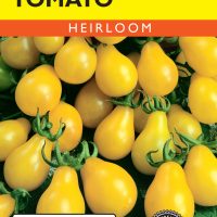 Tomato (Pole) Yellow Pear - Item #310