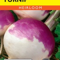 Turnip Purple Top White Globe