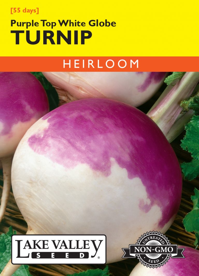 Turnip Purple Top White Globe Item 311 Lake Valley Seed