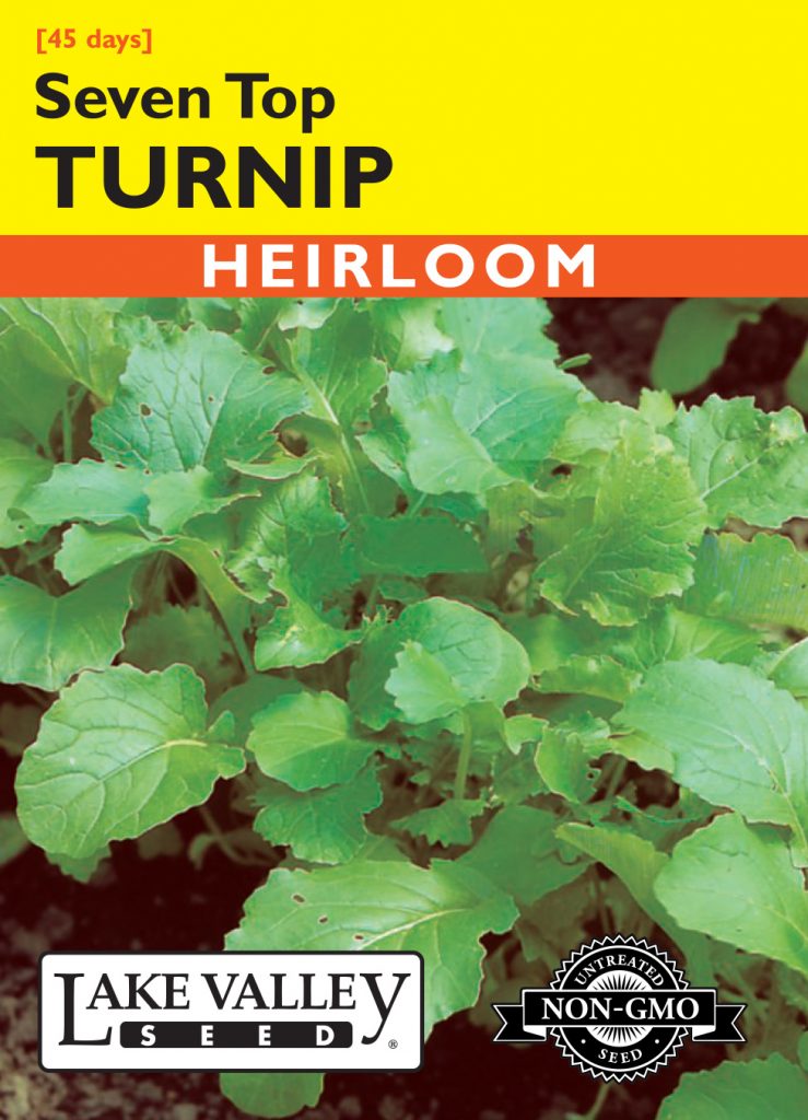 Turnip Seven Top (Turnip Greens) Item 312 Lake Valley Seed