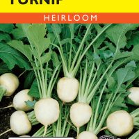 Turnip Shogoin - Item #313