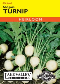 Turnip Shogoin - Item #313