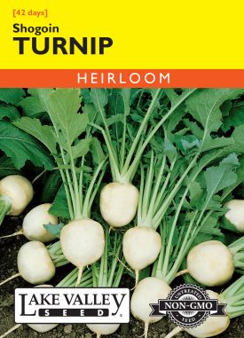 Turnip Shogoin - Item #313
