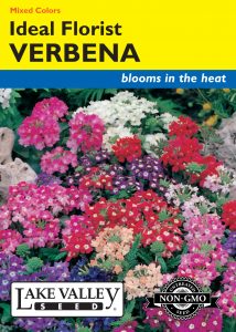 Verbena Ideal Florist Mixed Colors – Item #314