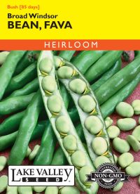 Bean Fava Broad Windsor