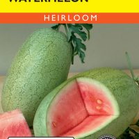 Watermelon Charleston Gray