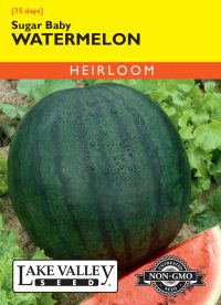 Watermelon Sugar Baby