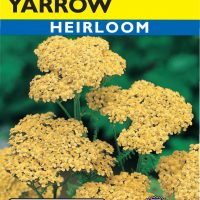 Yarrow Parkers Gold