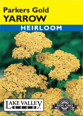 Yarrow Parkers Gold