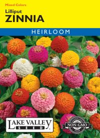 Zinnia Lilliput Mixed Colors