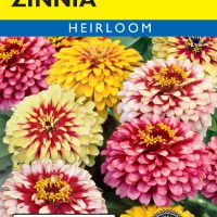 Zinnia Whirligig Mixed Colors