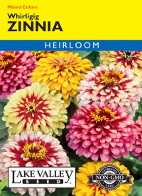 Zinnia Whirligig Mixed Colors