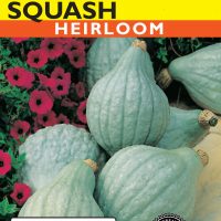 Squash (Winter) Blue Hubbard
