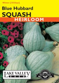 Squash (Winter) Blue Hubbard