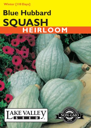 Squash (Winter) Blue Hubbard