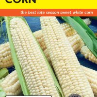 Corn Sweet Silver Queen