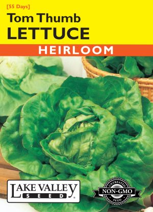 Lettuce Tom Thumb