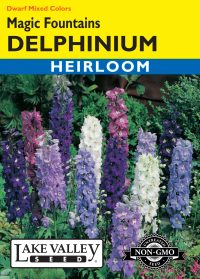 Delphinium Magic Fountains