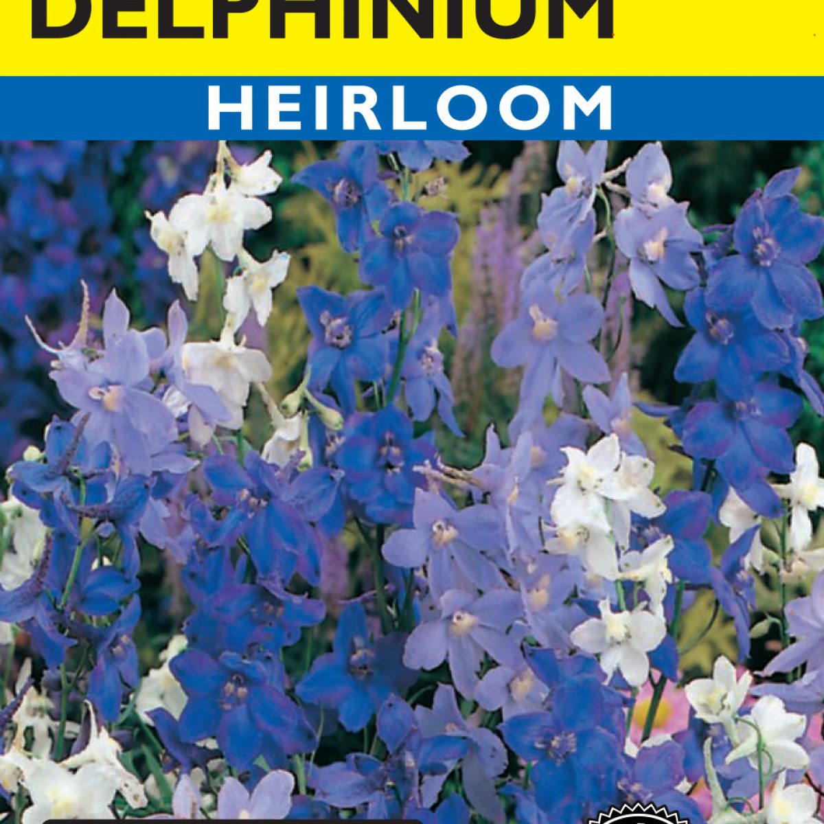 Delphinium Magic Fountains Mixed Colors - Item #3460 - Lake Valley Seed