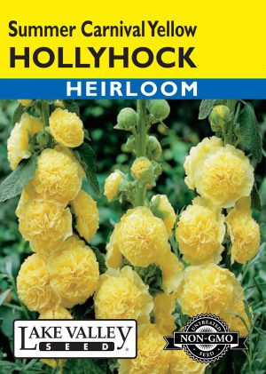 Hollyhock Summer Carnival Yellow