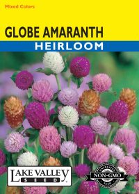 Globe Amaranth Mixed Colors
