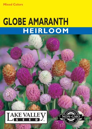 Globe Amaranth Mixed Colors