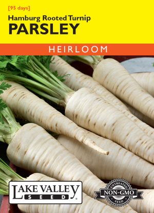 Parsley Hamburg Rooted Turnip