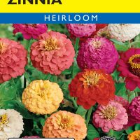 Zinnia Cut & Come Again