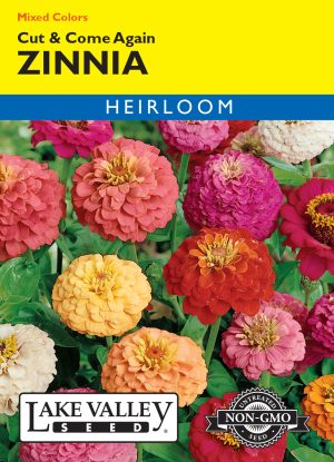 Zinnia Cut & Come Again