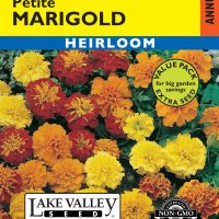 Marigold Petite Mixed Colors