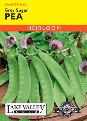 Pea Dwarf Grey Sugar