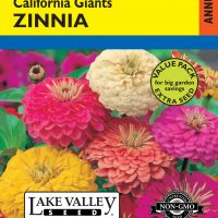 Zinnia California Giants Mixed Colors - Item #3480
