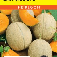 Cantaloupe Hearts of Gold