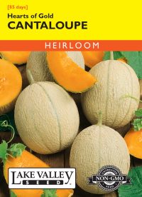 Cantaloupe Hearts of Gold