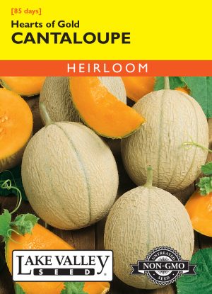 Cantaloupe Hearts of Gold