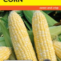 Corn Sweet Precious Gem