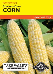 Corn Sweet Precious Gem Hybrid Bicolor – Item #3485