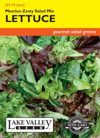 Lettuce Mesclun Zesty Salad Mix