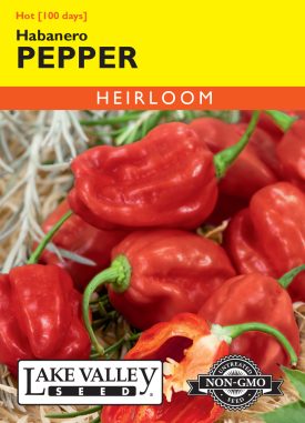 Pepper Hot Habanero Red