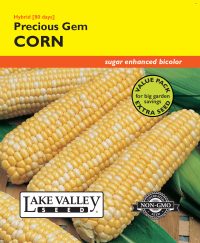 Corn Sweet Precious Gem