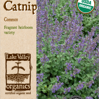 Organic Catnip Common
