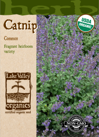 Organic Catnip Common
